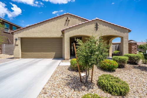 Professional Photography